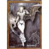 CASTLEVANIA COFFRET COLLECTOR (Neuf)