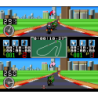 RACING DAMASHI