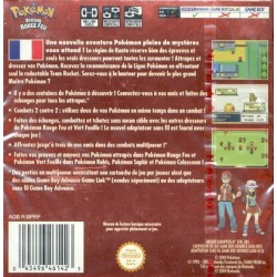POKEMON RUBIS