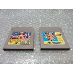 LOT ADVENTURE ISLAND 2 ET 3 JAP (cart.seule)