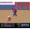 TAKEDA SHINGEN