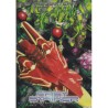 FAST STRIKER 1.5 Limited Edition