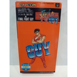 FINAL FIGHT GUY