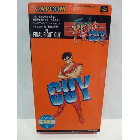 FINAL FIGHT GUY