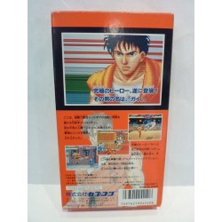 FINAL FIGHT GUY