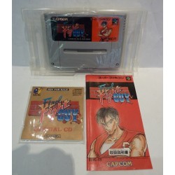 FINAL FIGHT GUY