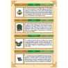 GUIDE ZELDA A link to the past