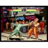 ART OF FIGHTING 2
