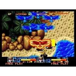 NINJA COMMANDO "MVS"