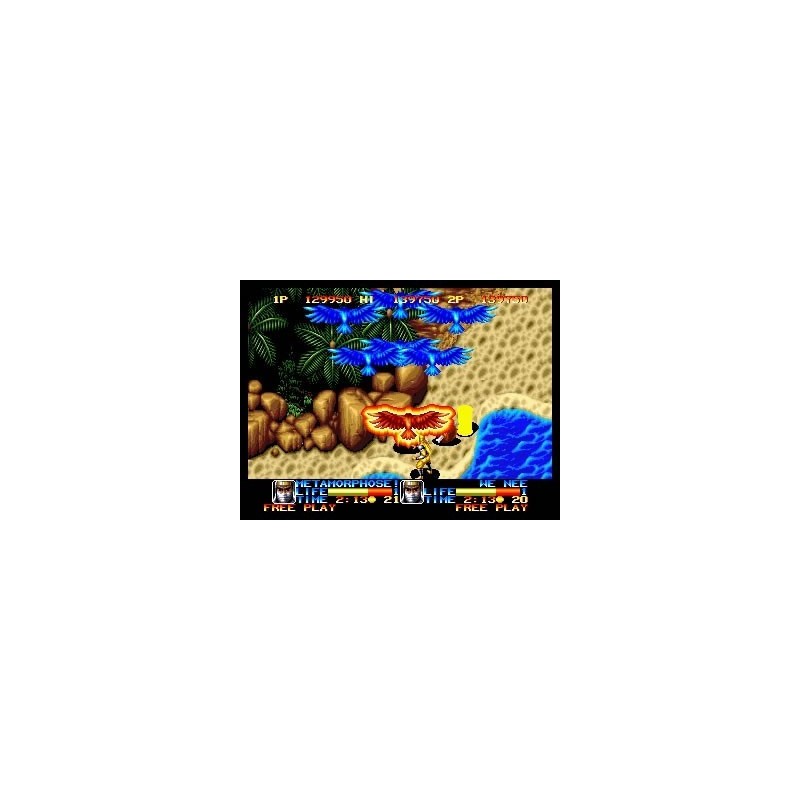 NINJA COMMANDO "MVS"