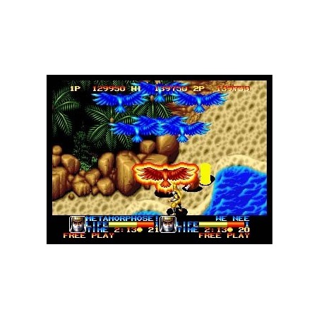 NINJA COMMANDO "MVS"