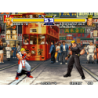 REAL BOUT FATAL FURY