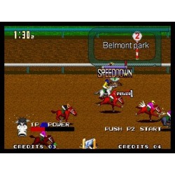STAKES WINNER 2