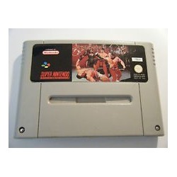 PIT FIGHTER
