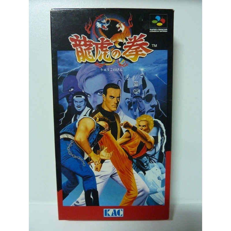 ART OF FIGHTING