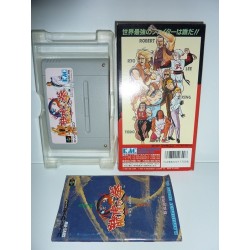 ART OF FIGHTING