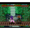 RANMA 1/2 (cart. seule)
