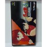 RANMA 1/2 (fight)