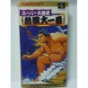 RANMA 1/2 BAKURETSU RANTU HEN