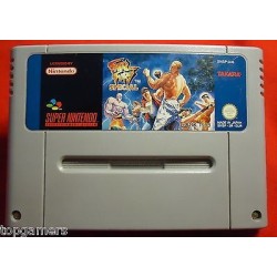 FATAL FURY SPECIAL (cart. seule)