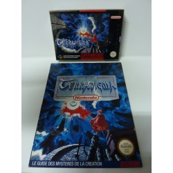 TERRANIGMA complet PAL Fr avec Guide
