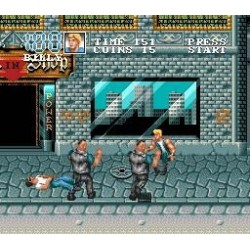 DOUBLE DRAGON 3 jamma