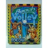 BEACH VOLLEY