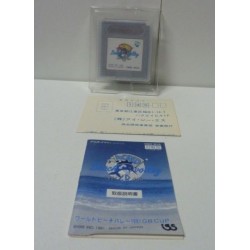 WORLD BEACH VOLLEY