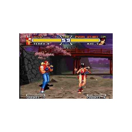 REAL BOUT SPECIAL FATAL FURY "Mvs"