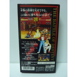 FATAL FURY