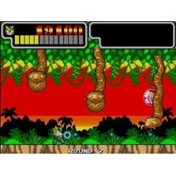 WONDERBOY IN MONSTER LAIR + JAMMA HARNESS