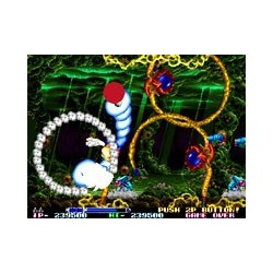 R-TYPE LEO