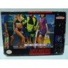 CALIFORNIA GAMES II