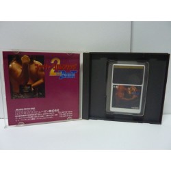 FIRE PRO WRESTLING 3