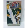 taekwon-doe super famicom