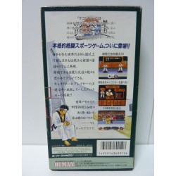 taekwon-doe super famicom