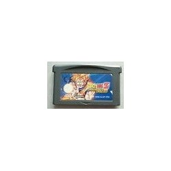 DRAGON BALL Z L'héritage de goku (cart. seule)