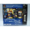 RAIDEN PROJECT