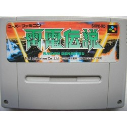 RAIDEN DENSETSU