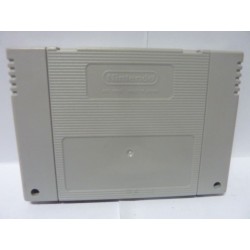 F1 GRAND PRIX Sample Proto