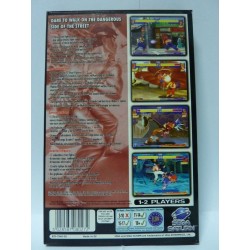 STREET FIGHTER WARRIORS DREAMS