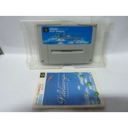 PILOTWINGS