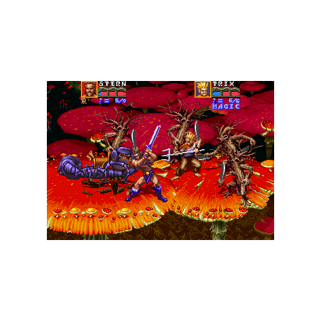 GOLDEN AXE II : THE REVENGE OF DEATH ADDER