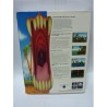 BRIAN THE LION amiga