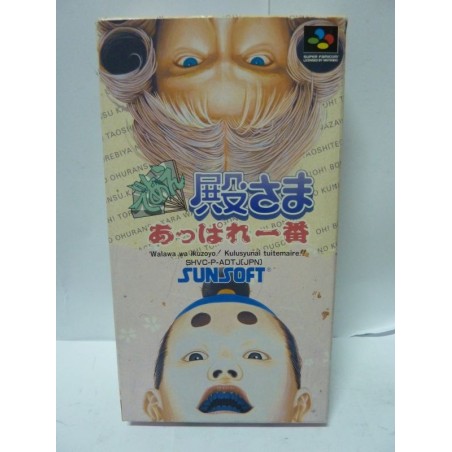 DEAE TONOSAMA APPARE ICHIBAN