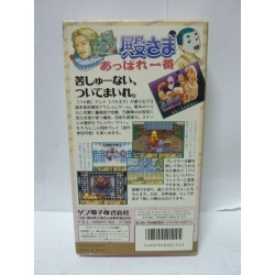 DEAE TONOSAMA APPARE ICHIBAN