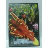 FAST STRIKER LIMITED EDITION