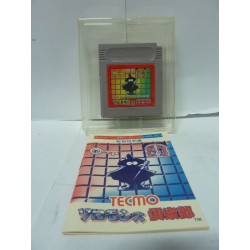 SOLOMON'S CLUB NINTENDO