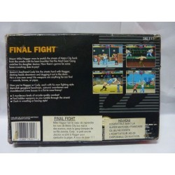 FINAL FIGHT GUY