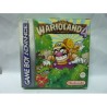 WARIOLAND 4